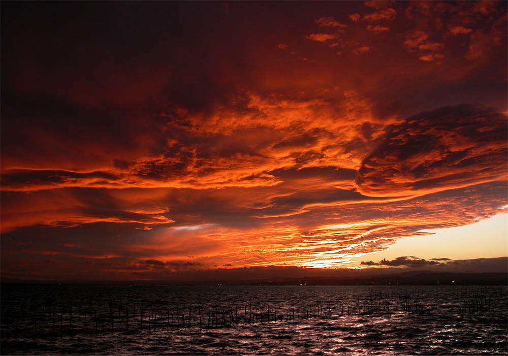 La Albufera